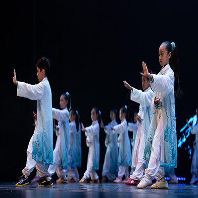 Advance Taiji Thumbnail 2